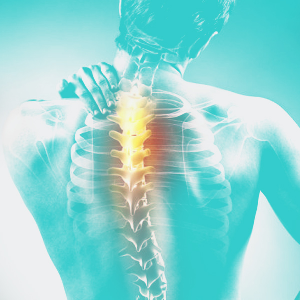 Le manipolazioni vertebrali, insieme di tecniche che fanno parte della “terapia manuale”, sono finalizzate alla liberazione della mobilità articolare attraverso un approccio olistico del sistema corpo.